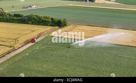 Il sistema di irrigazione automatizzato spruzza acqua su lussureggianti campi di soia verde in Italia durante la coltivazione agricola primaverile nella pianura padana Foto Stock