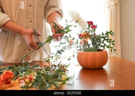 Donna che taglia il gambo di dahlia bianca per la disposizione dei fiori nella zucca Foto Stock