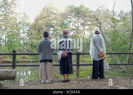 Tre donne sono in piedi su una recinzione di legno che si affaccia su uno stagno. Portano tutti cappelli e borse. La scena e' tranquilla e serena, come il W Foto Stock