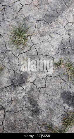 Terreno asciutto e incrinato mostra segni di siccità, con macchie di erba che faticano a crescere. La texture evidenzia l'impatto del calore e della mancanza di umidità i. Foto Stock