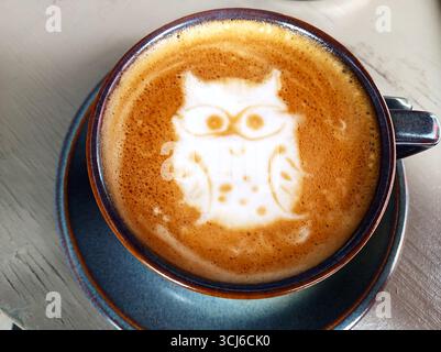 Tazza di caffè su un tavolo dall'alto e la schiuma ha la forma di un gufo carino con i bicchieri Foto Stock