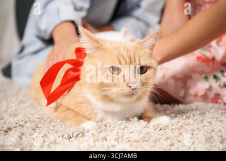 I sogni si avverano. Madre e sua figlia accarezzano gatto di zenzero con arco rosso sul pavimento a casa, primo piano Foto Stock