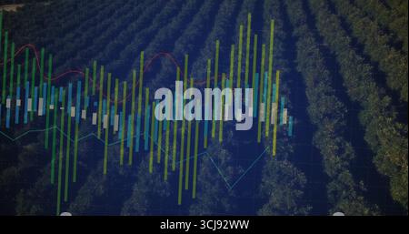 Visualizzazione del grafico finanziario sovrapposto alla vista del frutteto, con barre a candela e grafici a linee colorate Foto Stock