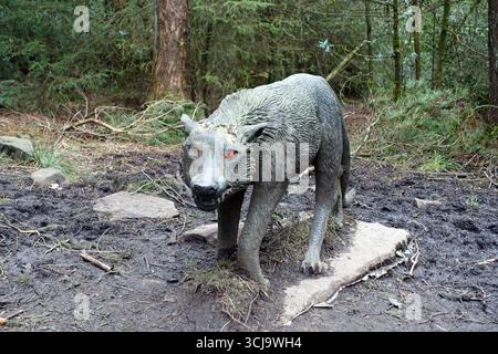 Scultura di lupo in legno con occhi rossi sul sentiero delle sculture di Pendle a Aitken Wood vicino a Barley nel Lancashire, Inghilterra, Regno Unito. Foto Stock