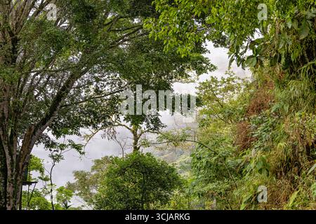 Vista panoramica dalle montagne andine ad Antioquia, Colombia Foto Stock