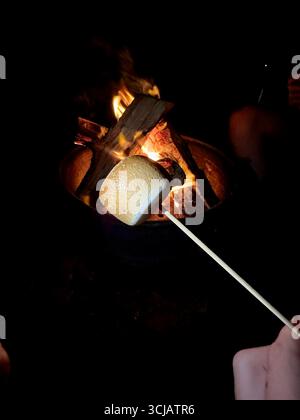 Un marshmallow su un bastone di fronte a un falò di notte Foto Stock