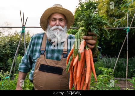 Un giovane agricoltore con la barba felice che indossa cappello di paglia e tuta mostrando un mucchio di carote appena raccolte nel suo orto, orgoglioso del suo biologo biologico Foto Stock