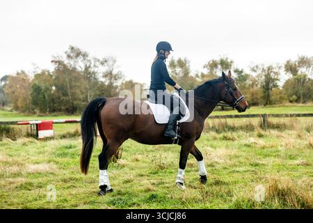 Una donna matura con casco cavalca un cavallo attraverso la pittoresca campagna della nuova Zelanda, incarnando lo spirito del legame equestre e del sostentamento Foto Stock