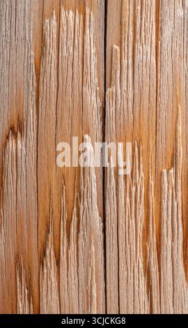 Primo piano dettagliato di un palo di rotaia in legno che mostra motivi e texture intricati. La grana naturale e le superfici intemprate offrono un rustico e un'orga Foto Stock