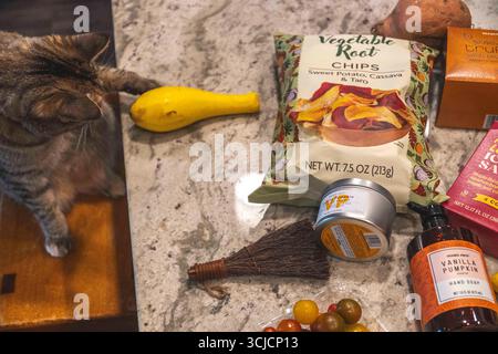 Phoenix, arizona - 7 ottobre 2025: Un'accogliente cucina con prodotti freschi e un gatto dormiente Foto Stock