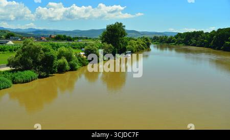 Il fiume Mures è immerso in una lussureggiante vegetazione fluviale in primavera. Zona di Deva, Hunedoara. Lato meridionale dei Monti Apuseni. Foto Stock