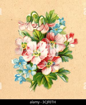 Pezzo di carta decoupage in cromo pressofuso in stile vittoriano originale, ripreso da un album vittoriano di Forget-me-nots e rosa campion Posy, circa 1890, Regno Unito. Foto Stock