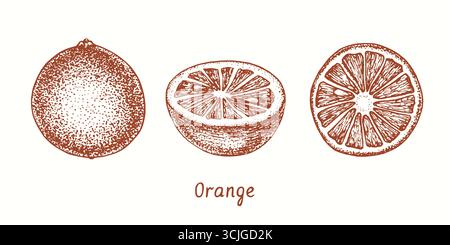 Set di arance, raccolta, frutta, fetta tagliata. Disegnare con inchiostro il doodle in stile xilografico Foto Stock
