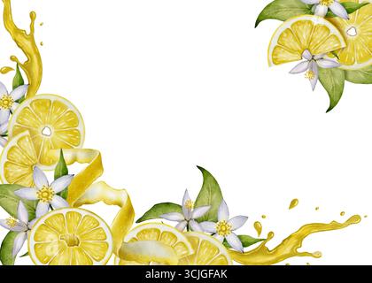 Cornice al limone con fette succose, ricci, schizzi e fiori bianchi. Illustrazione acquerello. Arte agrumata su sfondo bianco per biglietti, inviti, Foto Stock