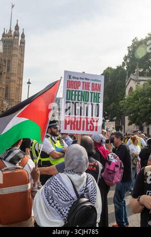 Londra, Regno Unito, 6 settembre 2025 :- manifestanti pro Palestina in Piazza Parilament, detiene la bandiera della palestina e un segno difende la destra t Foto Stock