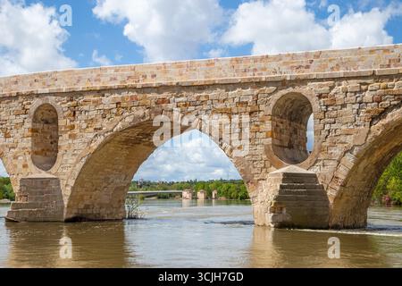 Il ponte medievale in pietra Puente de Piedra sul fiume Douro nella città spagnola di Zamora Castiglia e Leon Spagna Foto Stock