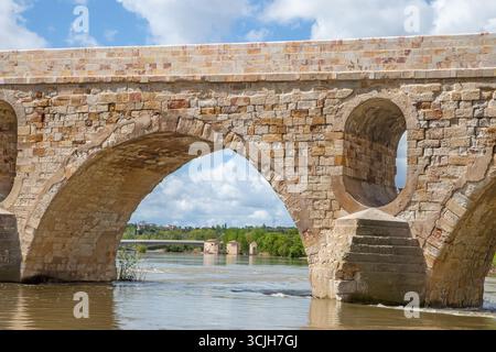 Il ponte medievale in pietra Puente de Piedra sul fiume Douro nella città spagnola di Zamora Castiglia e Leon Spagna Foto Stock