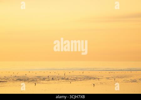 Alba tranquilla, tranquilla e tranquilla sul Mare d'Irlanda nella baia di Dublino Foto Stock