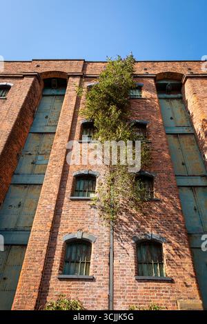 Vecchio edificio di magazzino abbandonato del XIX secolo, Liverpool, 2025 Foto Stock