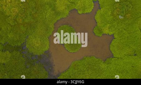 Vista dall'alto delle zone umide in Islanda con vegetazione lussureggiante e uno stagno marrone centrale con un'isola al centro Foto Stock