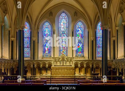 Lady Chapel, St Patricks Cathedral, Dublino, Irlanda Foto Stock