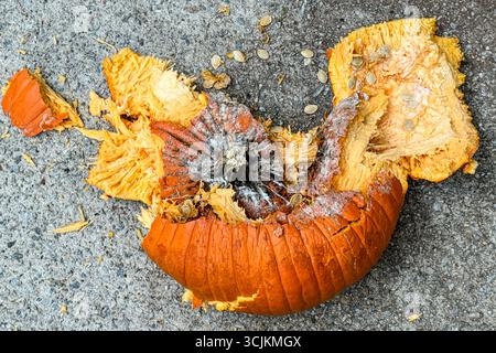 Una zucca morbida e in decomposizione giace a pezzi dopo essere stata schiacciata sul marciapiede dopo Halloween. Foto Stock