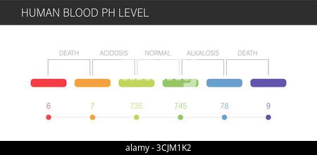 Scala del pH ematico. Intervallo normale del livello di ph nel sangue umano. Analisi del pH o test medico. Illustrazione vettoriale in stile piatto Illustrazione Vettoriale