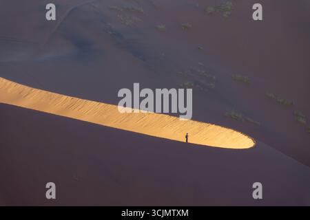 Silhouette di un uomo solitario sulla duna di sabbia Big Daddy all'alba a Sossusvlei, parco nazionale Namib Naukluft, paesaggio astratto della Namibia, Africa Foto Stock