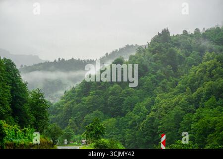 Splendida vista sulla foresta e sul fiume di Karadeniz, regione del Mar Nero nella Turchia settentrionale, il villaggio di gatti di Camlihemsin a Rize, Turchia Foto Stock