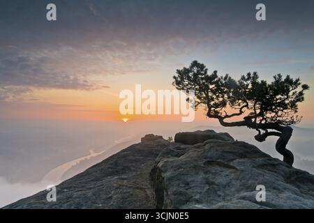 Tempo pino all'alba sopra la nebbia mattutina all'alba nella Svizzera sassone, vista dal Lilienstein sulla valle dell'Elba, il monte di arenaria dell'Elba Foto Stock
