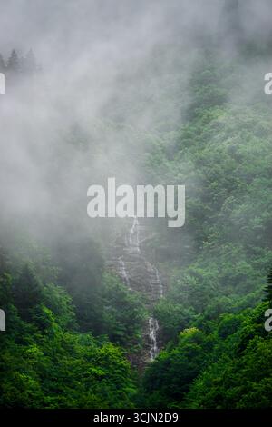 Splendida vista sulla foresta e sul fiume di Karadeniz, regione del Mar Nero nella Turchia settentrionale, il villaggio di gatti di Camlihemsin a Rize, Turchia Foto Stock