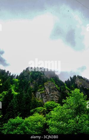 Splendida vista sulla foresta e sul fiume di Karadeniz, regione del Mar Nero nella Turchia settentrionale, il villaggio di gatti di Camlihemsin a Rize, Turchia Foto Stock