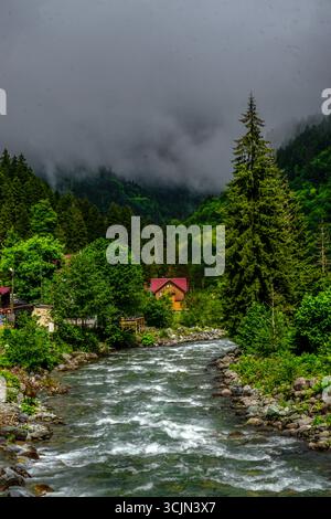 Splendida vista sulla foresta e sul fiume di Karadeniz, regione del Mar Nero nella Turchia settentrionale, il villaggio di gatti di Camlihemsin a Rize, Turchia Foto Stock
