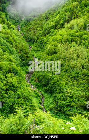 Splendida vista sulla foresta e sul fiume di Karadeniz, regione del Mar Nero nella Turchia settentrionale, il villaggio di gatti di Camlihemsin a Rize, Turchia Foto Stock