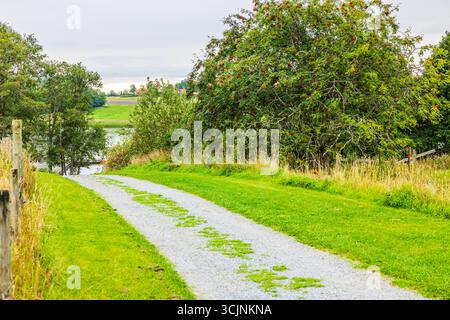 La strada di ghiaia conduce attraverso il prato verde oltre l'albero di rowan con bacche rosse verso il fiume e campi lontani. Svezia. Foto Stock