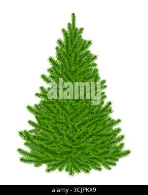 Immagine di pino vettoriale isolata e realistica sull'albero di Natale Illustrazione Vettoriale