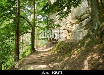 Wanderweg am Hockstein, Malerweg, Landkreis Sächsische Schweiz-Osterzgebirge, Sachsen, Deutschland *** percorso escursionistico sull'Hockstein, Malerweg, Svizzera sassone distretto di Osterzgebirge, Sassonia, Germania Foto Stock