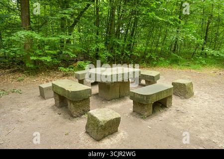 Steinerner Tisch am Malerweg, Lohmen, Landkreis Sächsische Schweiz-Osterzgebirge, Sachsen, Deutschland Foto Stock