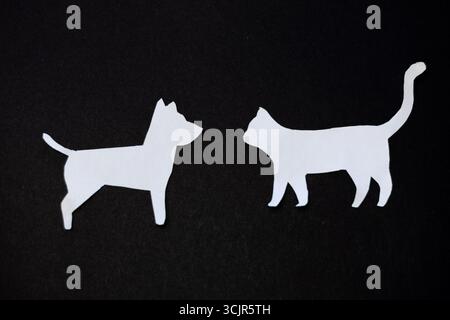 Persona che protegge gli animali con le mani. Foto di alta qualità Foto Stock