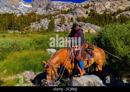 Pack Animals condotto da wrangler della Agnew Meadows Pack Station che trasporta l'attrezzatura al lago Ediza, Inyo National Forest, California, USA [non disponibile; editoriale Foto Stock