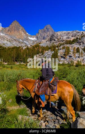 Pack Animals condotto da wrangler della Agnew Meadows Pack Station che trasporta l'attrezzatura al lago Ediza, Inyo National Forest, California, USA [non disponibile; editoriale Foto Stock