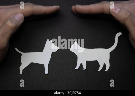 Persona che protegge gli animali con le mani. Foto di alta qualità Foto Stock