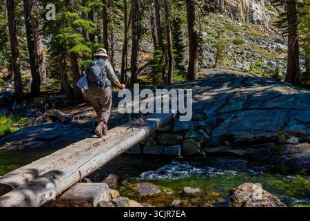 Karen Rentz attraversa il ponte di tronchi su Shadow Creek nella riserva naturale di Ansel Adams, Inyo National Forest, California, Stati Uniti Foto Stock