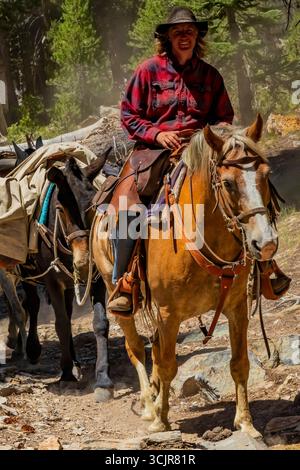 Pack Animals condotto da wrangler della Agnew Meadows Pack Station che trasporta l'attrezzatura al lago Ediza, Inyo National Forest, California, USA [non disponibile; editoriale Foto Stock