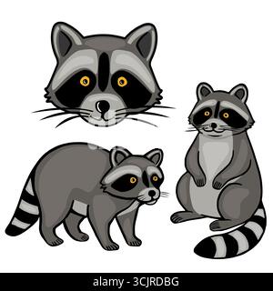 Adorabile illustrazione vettoriale con tre giocosi procioni in varie pose, che mostrano le loro caratteristiche facce mascherate e code ad anello, perfetta Illustrazione Vettoriale
