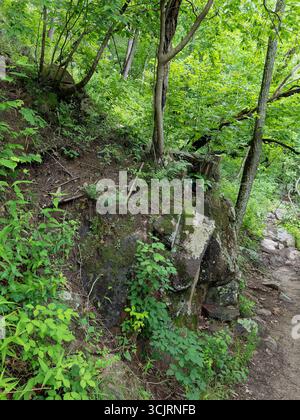 Hawn State Park, ubicazione: Ste. Genevieve, MO Foto Stock