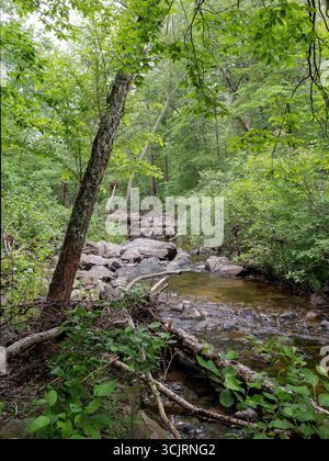 Hawn State Park, ubicazione: Ste. Genevieve, MO Foto Stock