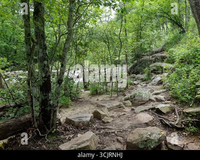 Hawn State Park, ubicazione: Ste. Genevieve, MO Foto Stock