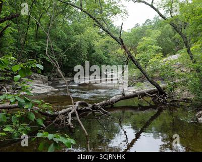 Hawn State Park, ubicazione: Ste. Genevieve, MO Foto Stock