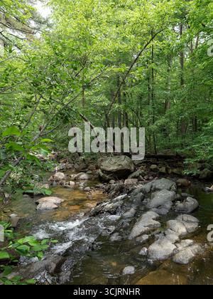 Hawn State Park, ubicazione: Ste. Genevieve, MO Foto Stock